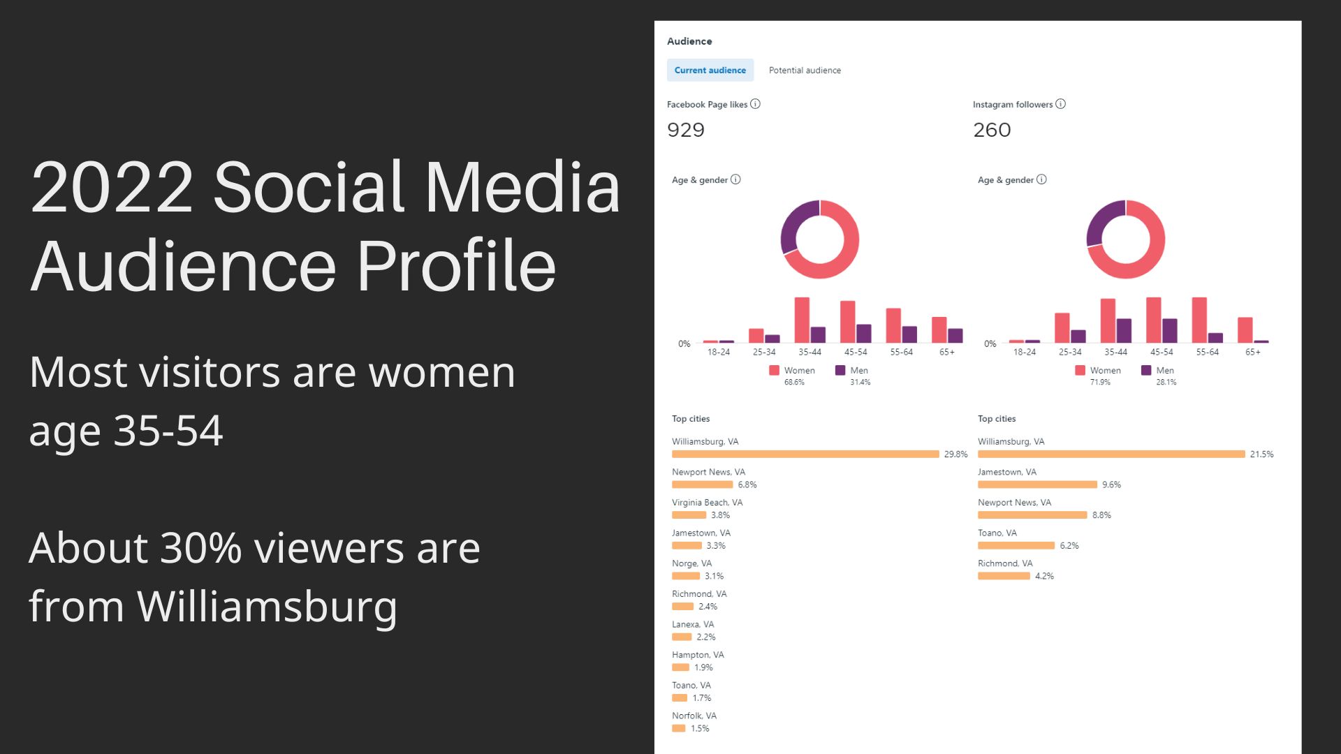 social media audience profile